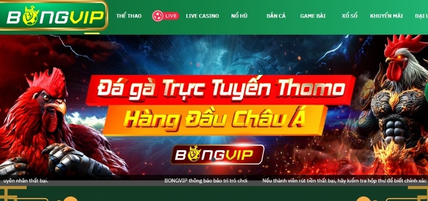 Bóng Vip cam kết không thu bất kỳ khoản phí nào khi người chơi rút tiền