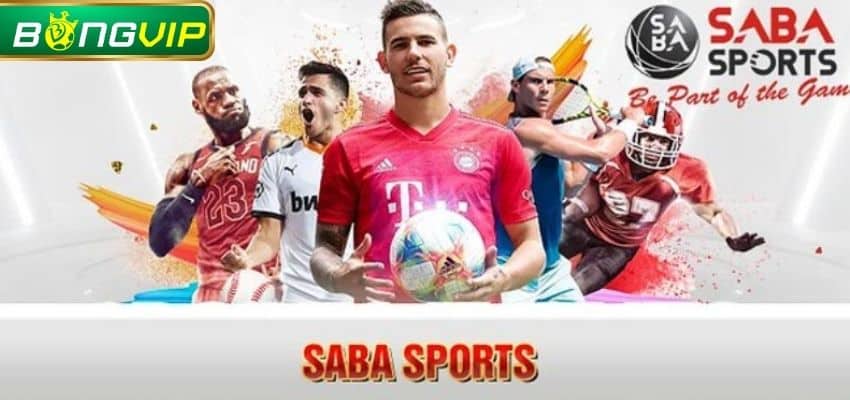 Điểm danh 3 loại hình cá cược Saba nổi bật