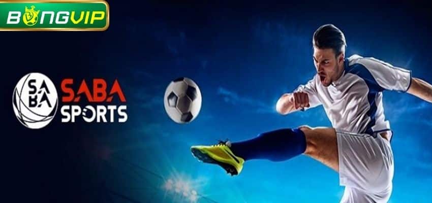 Việc tìm hiểu lịch sử trận đấu đóng vai trò quan trọng để thắng lớn