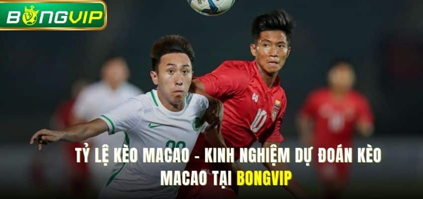 Tỷ Lệ Kèo Macao - Kinh Nghiệm Dự Đoán Kèo Macao Tại Bóng vip